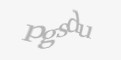 Código de segurança