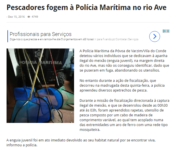 rio_ave.png